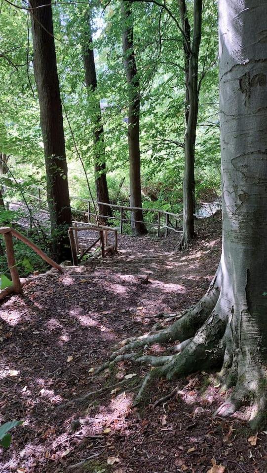 Stilvolle Ferienwohnung Im Eichsfeld Niederorschel Dış mekan fotoğraf
